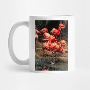 Flamingo Sancturary Mug